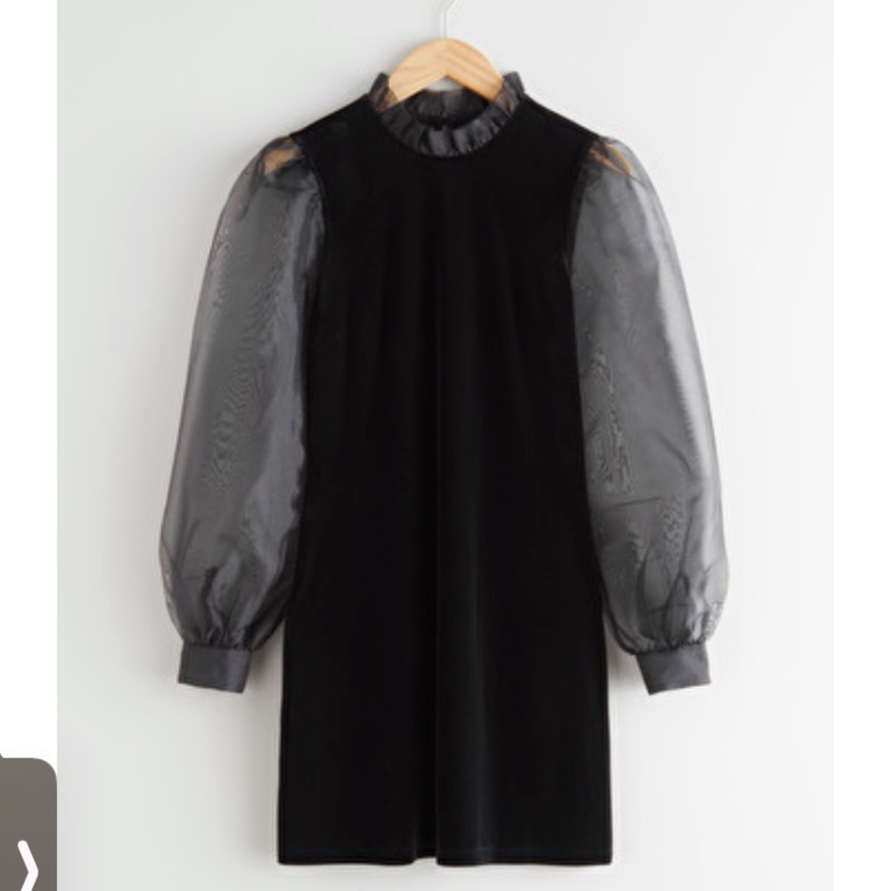 Organza Sleeve Velvet Mini Dress